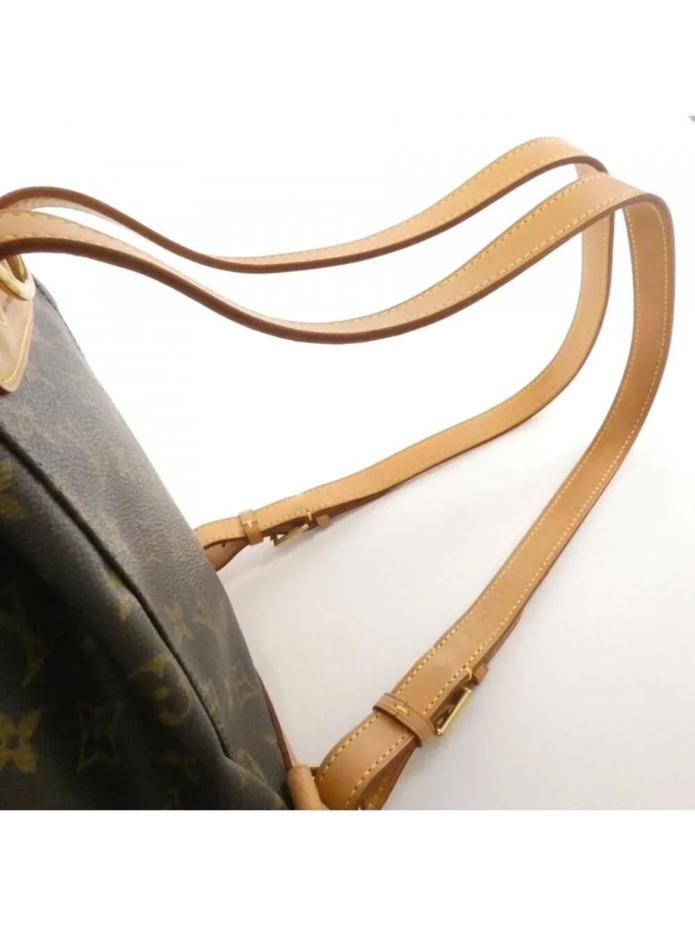 Louis Vuitton Monogram Montsouris MM Backpack